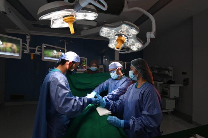 صحيفة اليوم العمانية - سلطنةُ عُمان تحتفي باليوم العالمي للصّحة وتؤكّد على التزامها بالابتكار الصحي